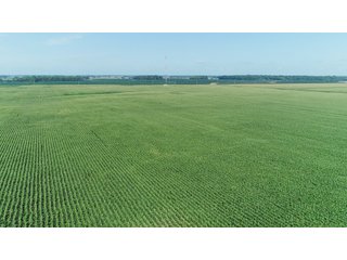 Farmland in Fulton & Marshall Counties, Indiana - LAND AUCTION - 541.3+/- ACRES IN 9 TRACTS IN FULTON & MARSHALL COUNTIES, INDIANA